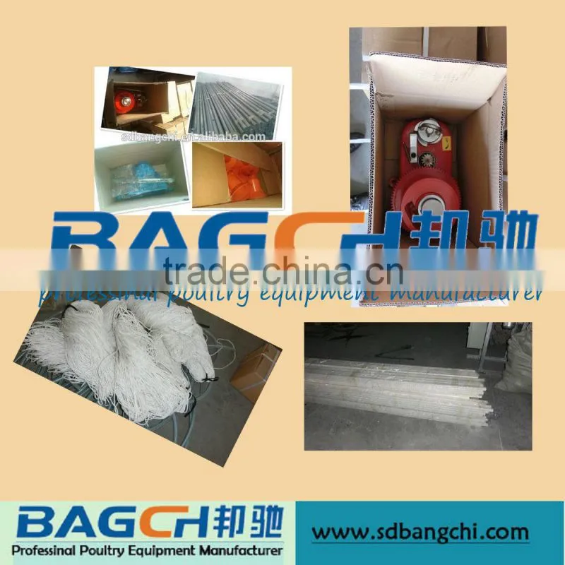 Automatic Poultry Equipment for Broiler Chicken