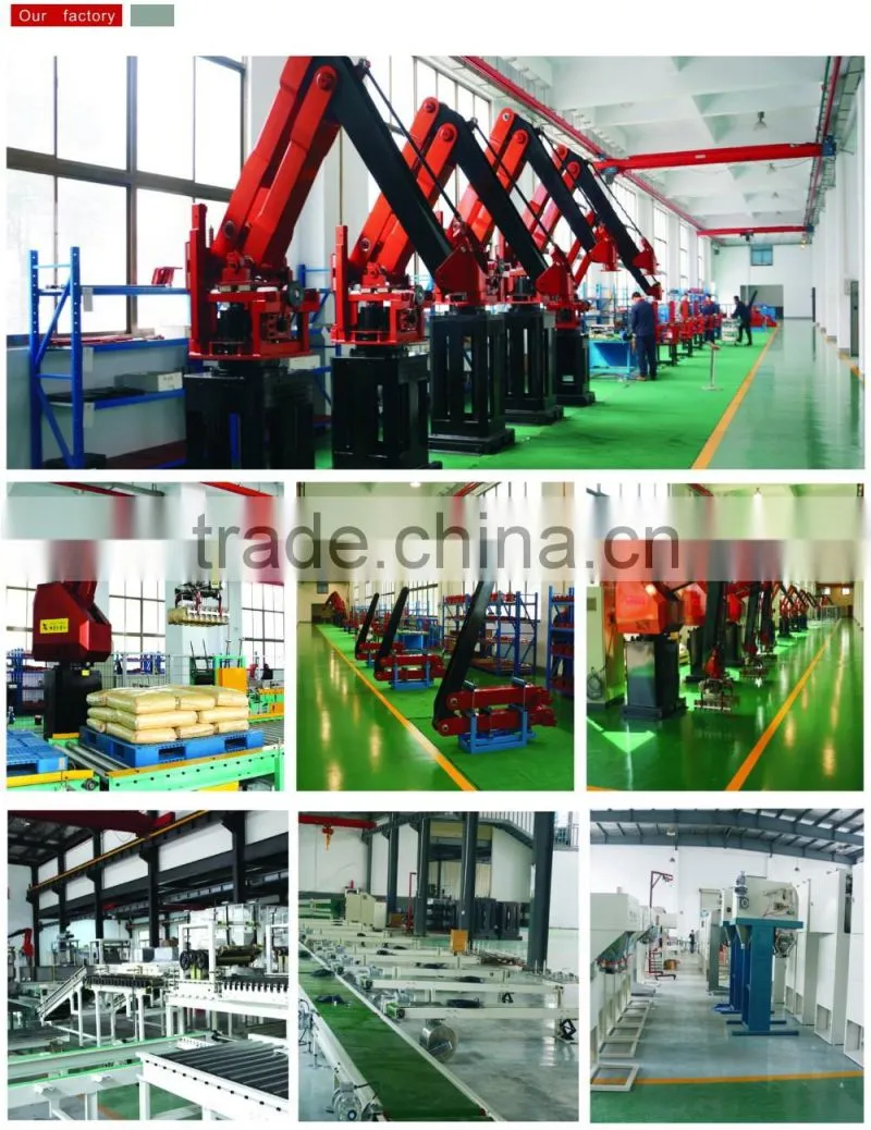 China palletizing robot, automatic palletizer machine robot