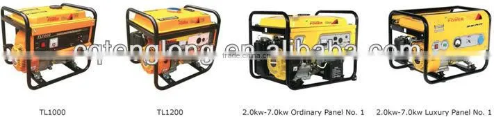 Popular Sale Italy Generator from China Market