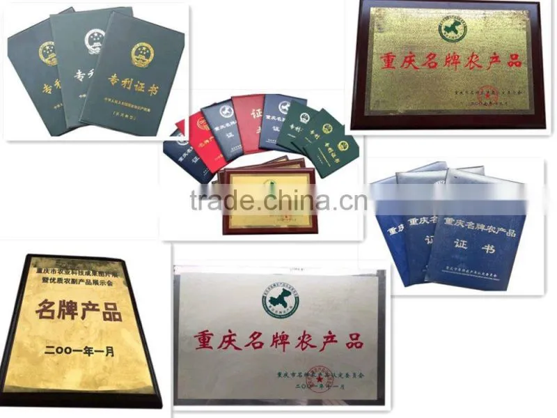 mini 152F 100cc gasoline engine 2.5hp