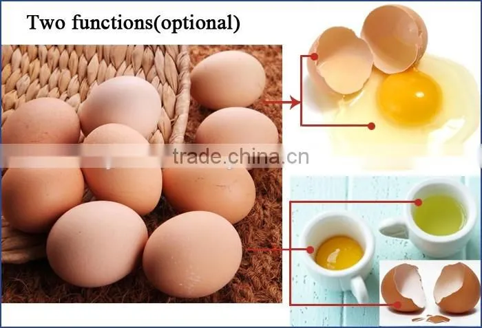 Factory price good performance automatic egg separating machine