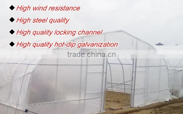 Cheap greenhouse panel clips
