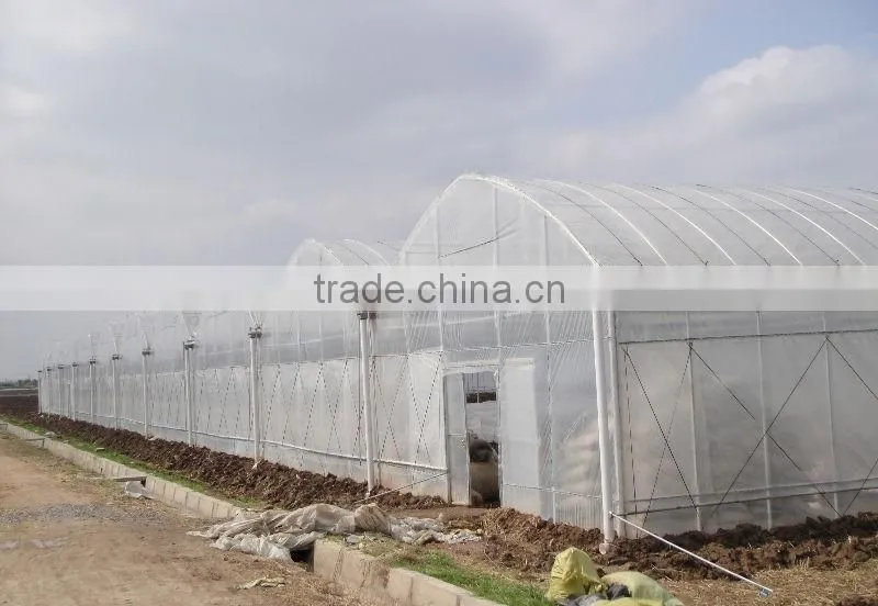 Green Houses For Hydroponic