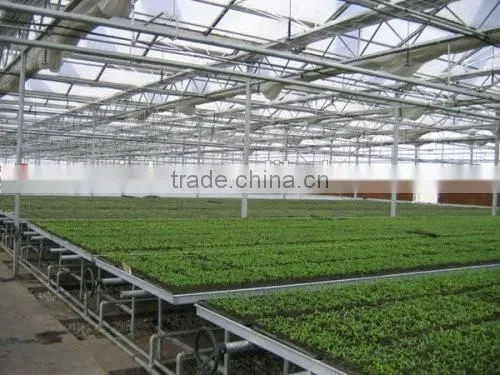 Smart glass greenhouse
