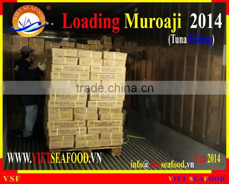 LOADING MUROAJI FOR TUNA BAIT