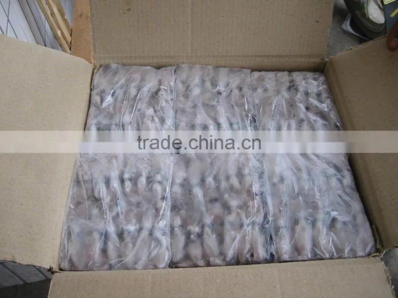 High quality Baby Squid price