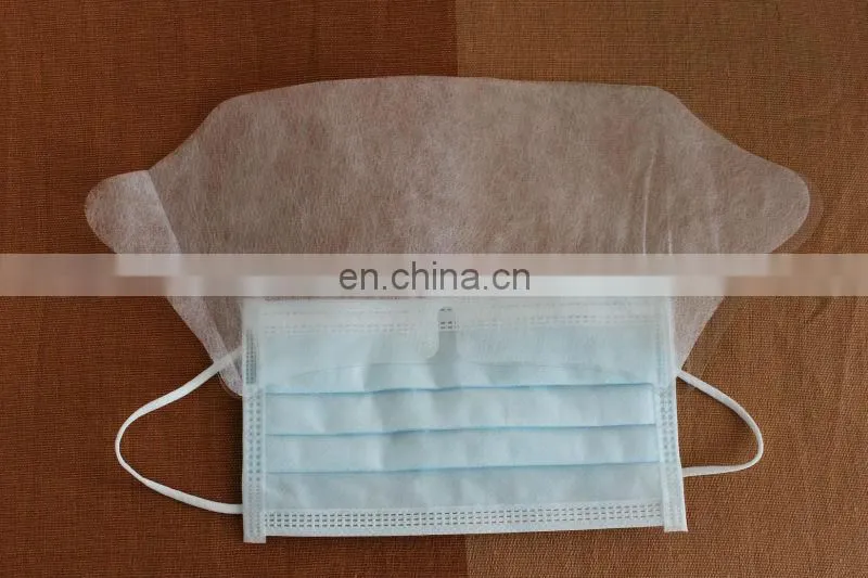 Disposable nonwoven mask with plastic shield