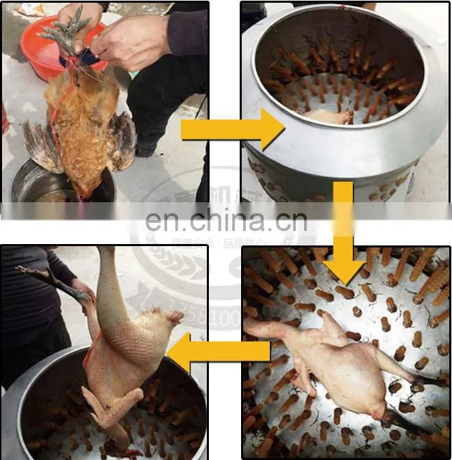 2017 New design poultry feather cleaning machine/pigeon hair removal machine/meat processing machine