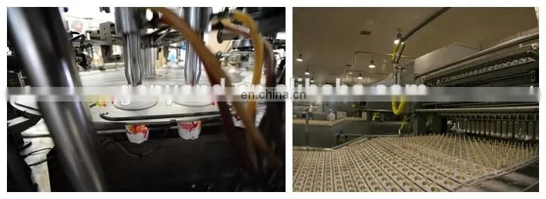 complete ice cream produce plant