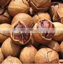 Widely used peanuts roaster/cashew sunflower seeds roasting machine/small nut roasting machine for sale