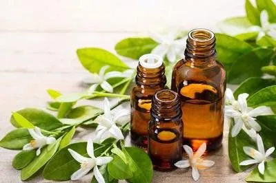 1000-4000L Patchouli Essential Oil Essential Oil Essential Oil Distillation Plant