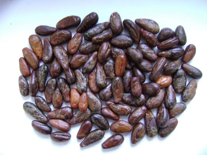 Complete Cocoa Bean Processing/cocoa Butter Processing Line