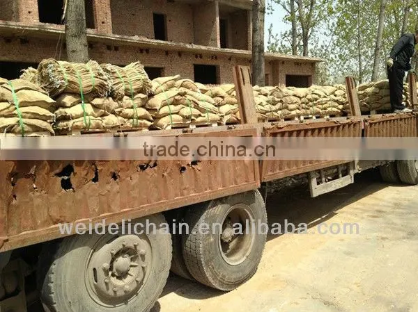 chain for lifting lifting chain