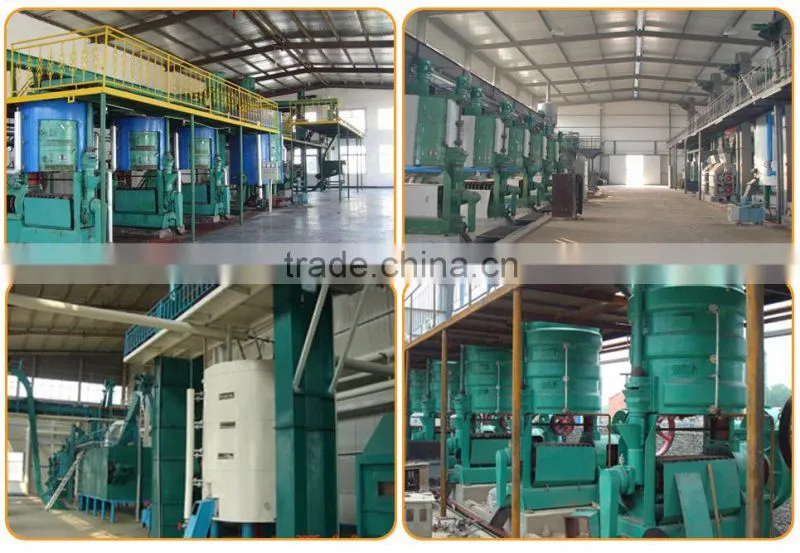 sunflower oil seed pressing machine with advanced technology in china