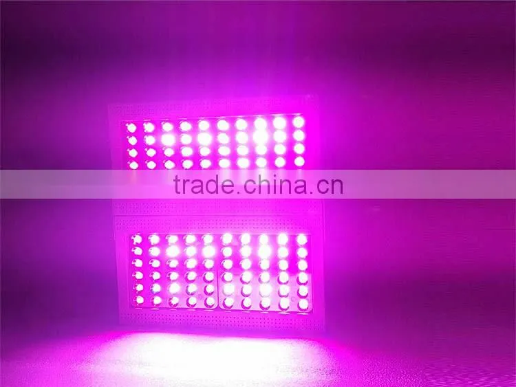 60x5w LED grow light high quality best for grow box