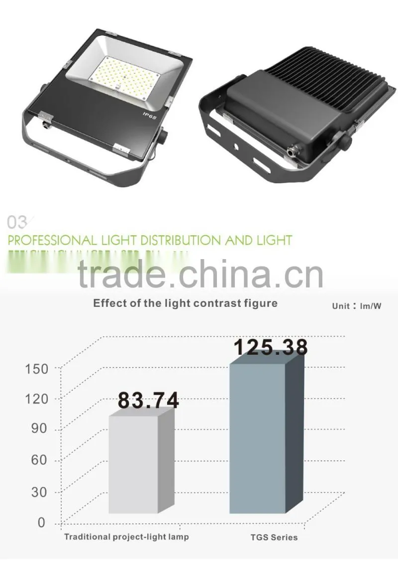 Promotion Price 2016 CE Rohs Approved Meanwell Driver Free Lighting Design 5 Years Warranty 80W LED Floods