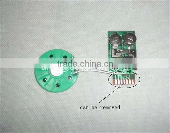 Programmable/recording /pre-recording module/USB modules/motion sensor module/cheap sound module for cards