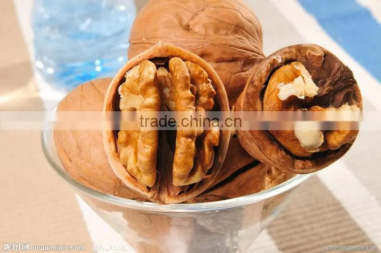 Extra chinese walnuts,walnut meat, walnuts kernel