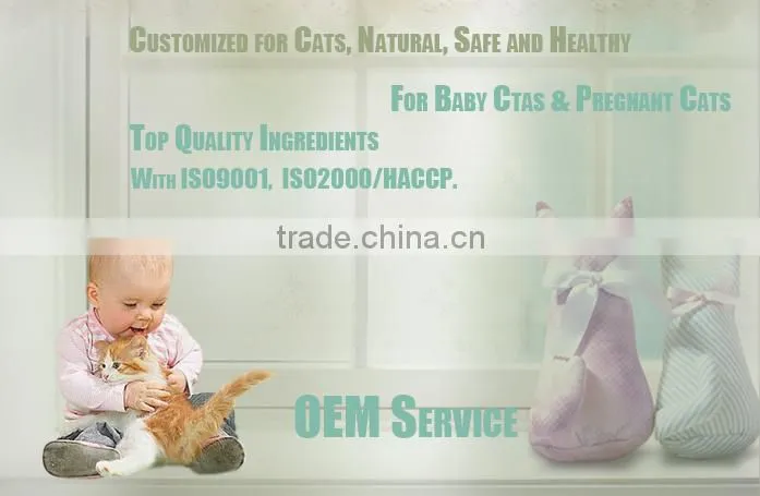 Sophisticated Technology food for cat