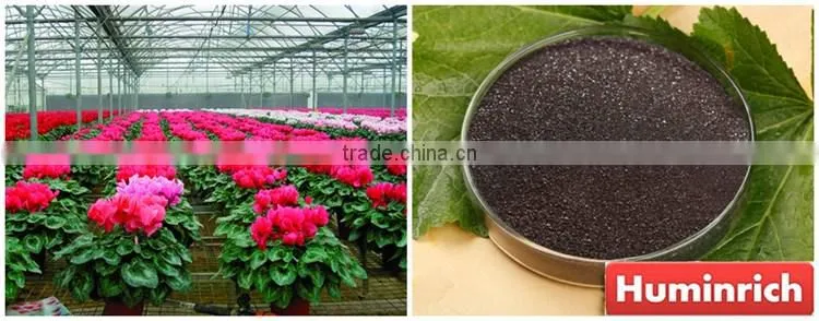 Huminrich Shenyang Water Soluble Humic Acid Fertilizer For Orchids Plant