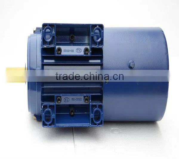 Electric Induction motor with electromagnet brake