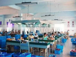 Ningbo Yinzhou Maker International Trading Co., Ltd. company overview - view 1