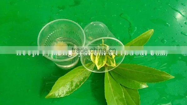 6oz disposable plastic beverage cup