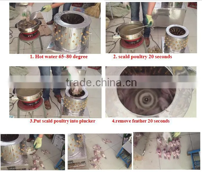 ZH-40 automatic bird depilator machine/ quail plucker machine