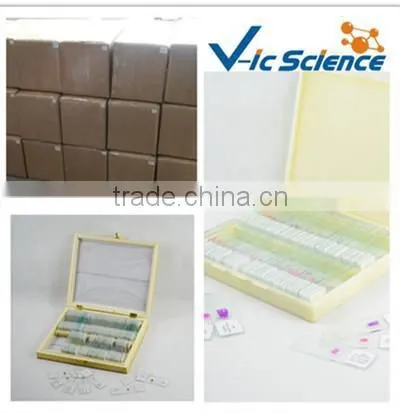 50pieces set Human histology slides human tissue slides