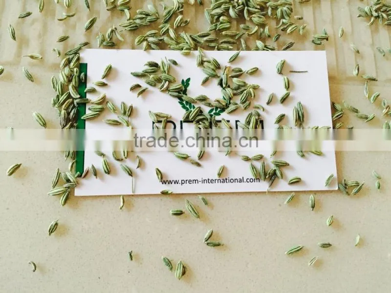 indian Fennel Seed
