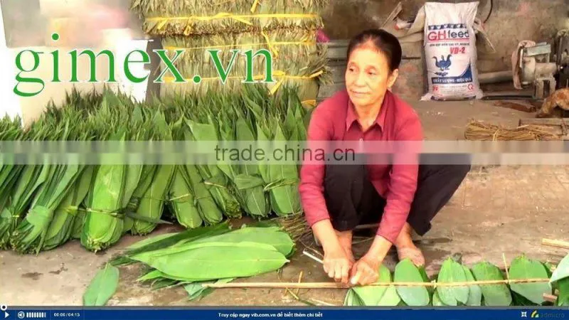Bamboo leaves