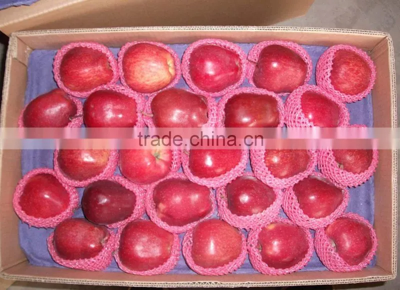 2015 crop fresh red delicious apple