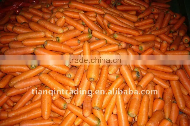 2011 Chinese carrot