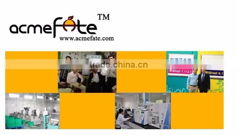 China supplier Stone shaped chocolate candy with HACCP Certification