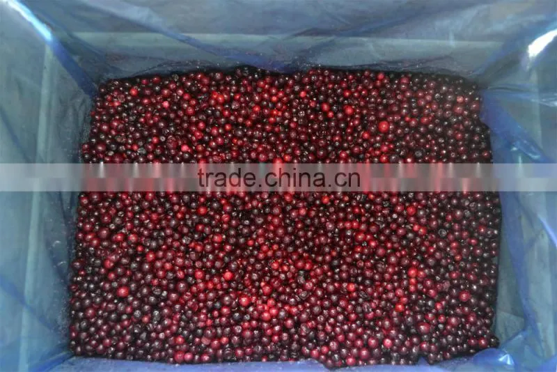 Frozen lingonberry