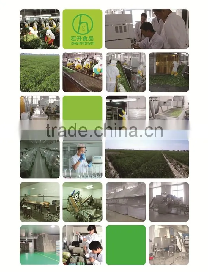 Dehydrated Shiitake Mushroom Cap Supplier