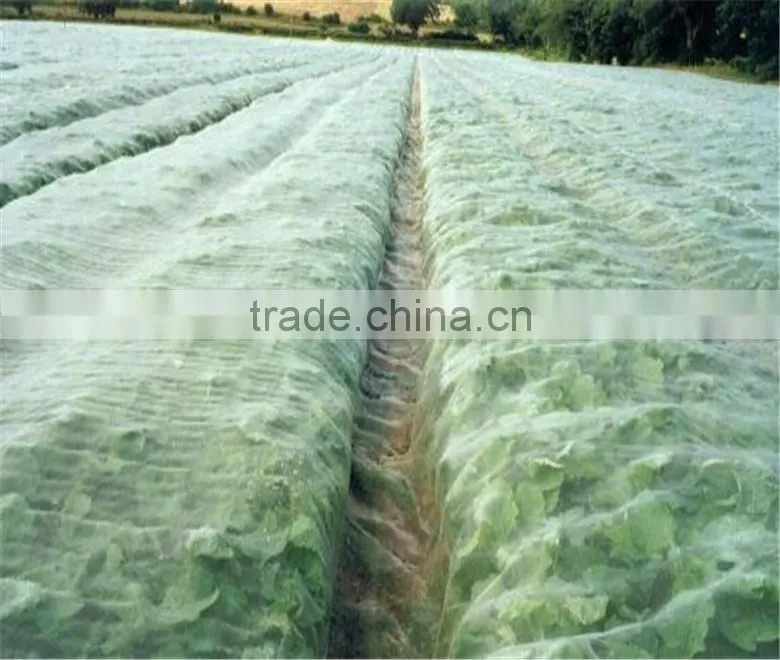 China factory hdpe vegetable insect net , nylon fruit anti insect net , plastic agricultural greenhouse anti insect proof net