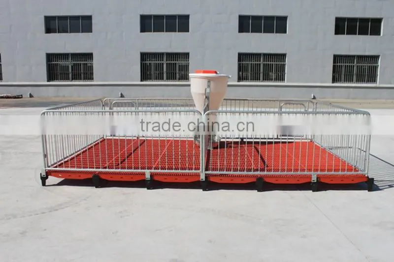 Poultry Feed Processing Equipment Stainless Steel Pigs Stall Nursery Crates