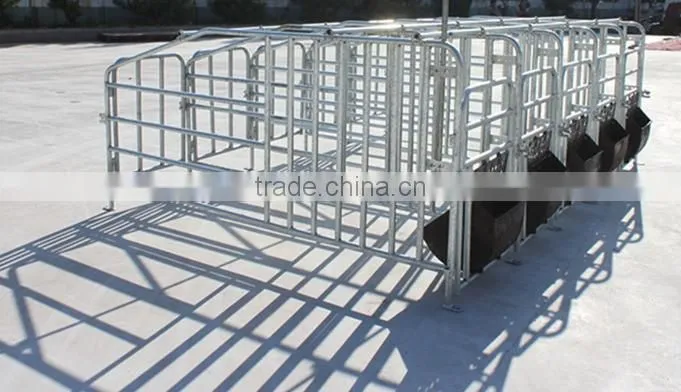 Poultry Feed Processing Equipment Stainless Steel Pigs Stall Nursery Crates