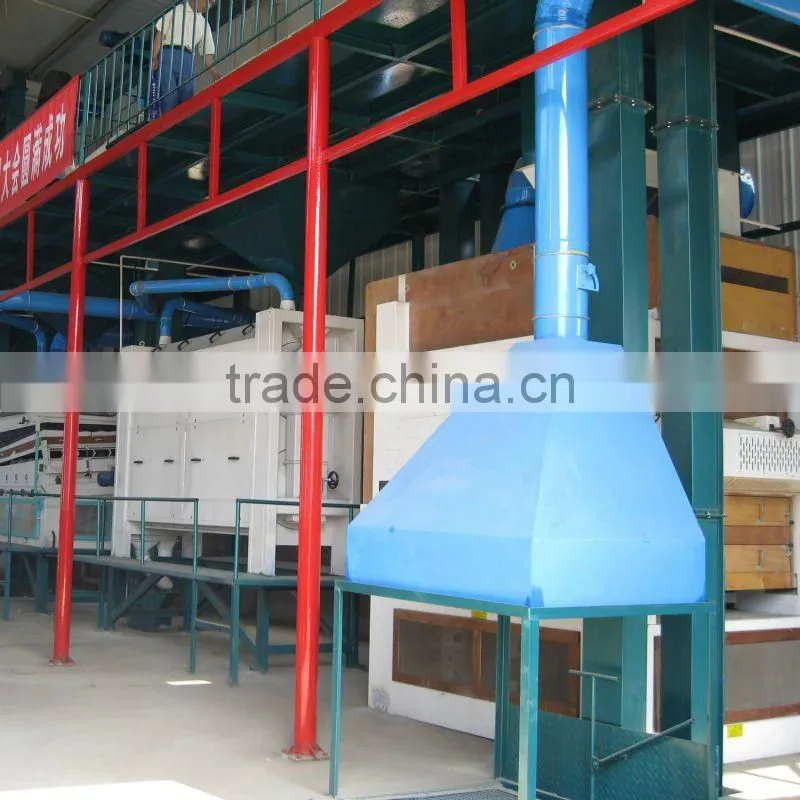 paddy maize wheat seed processing plant