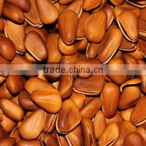 hot selling Hydraulic type oil extractor