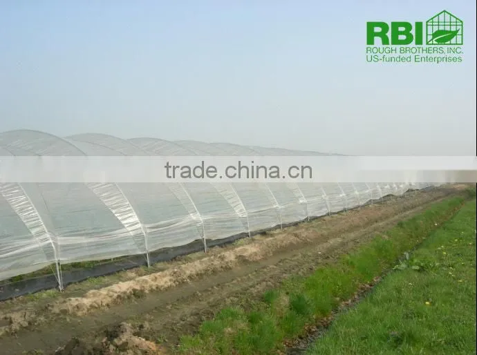 Tunnel-600 agricultural economical greenhouse