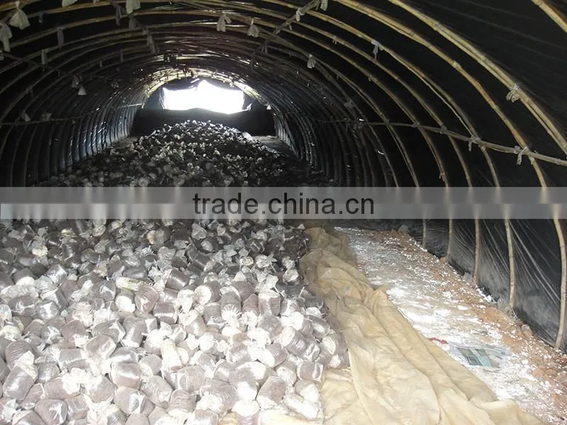 Black and white grid plastic greenhouse film for mushroom / bacteria growing house