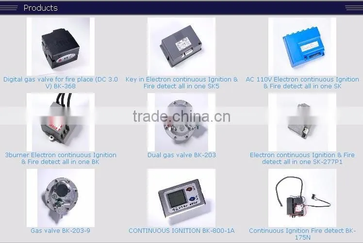 INSTANT GAS WATER HEATER FROM TAIWAN