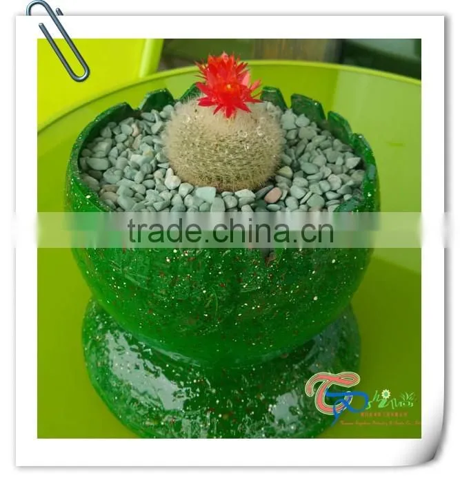 Green color memorial flower pots personalized