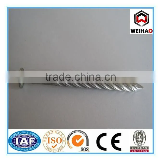 good quality common nail iron nail factory