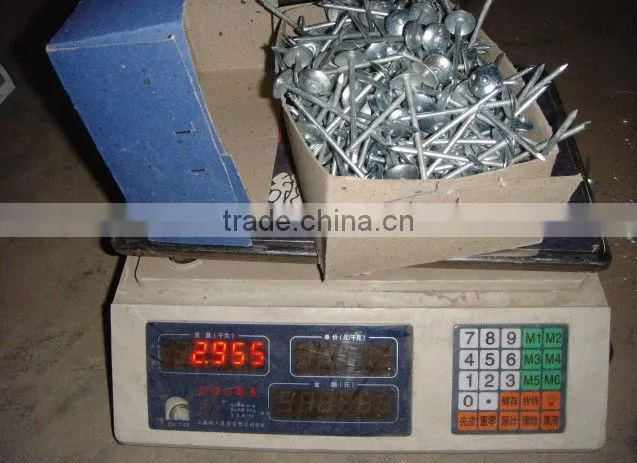 Top quality umbrella head roofing nails/linyi Roofing nails