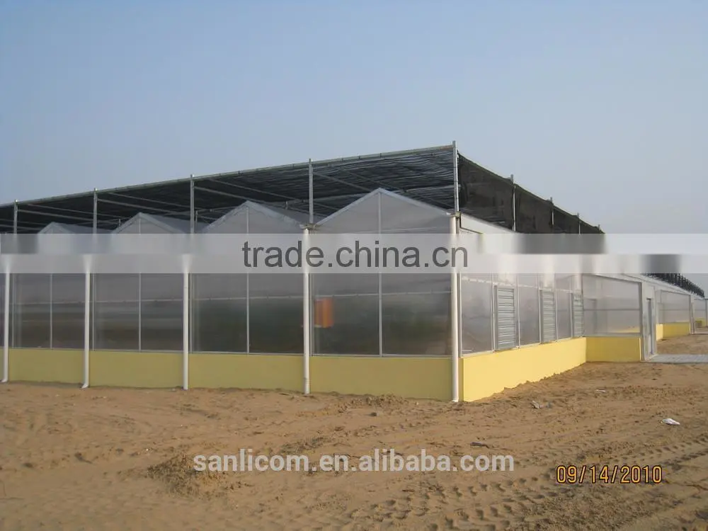8mm Greenhouse Polycarbonate Sheet