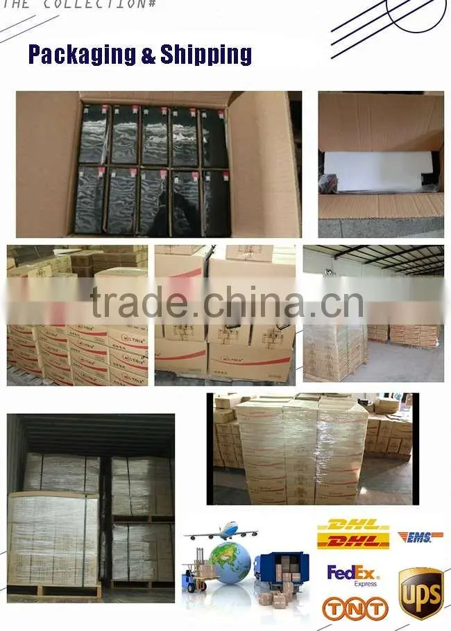 Alarm Systerm 6V 1.3Ah UPS Battery