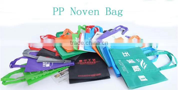 Wholesale Eco PP Non Woven Bag For Shopping